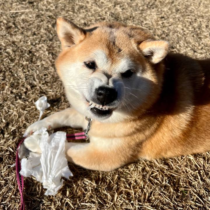 37def12a 5334 437c 861f 23d9dafb5f7a 1674155070751