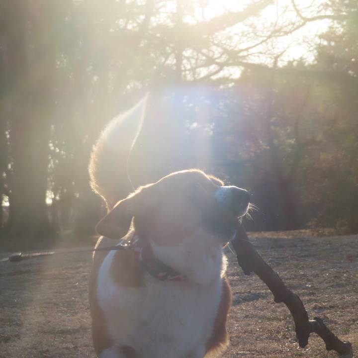 37defd54 def5 4811 a7bd 48d3c61f429c 1643851223736