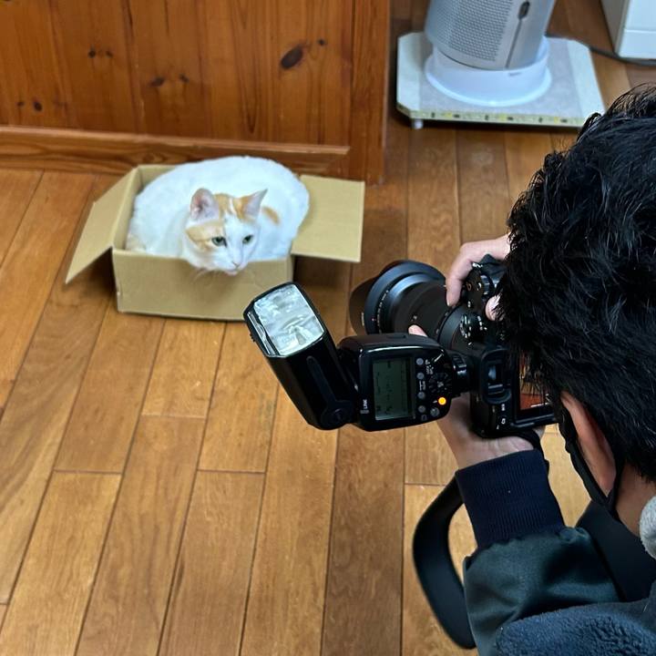 37df128b 6b03 4285 a378 595c270db0e5 1670743277742