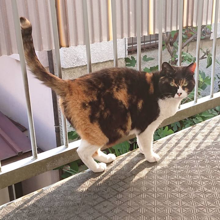 37df1805 1080 498d ae8b 45d1cf6767e7 1653278123751