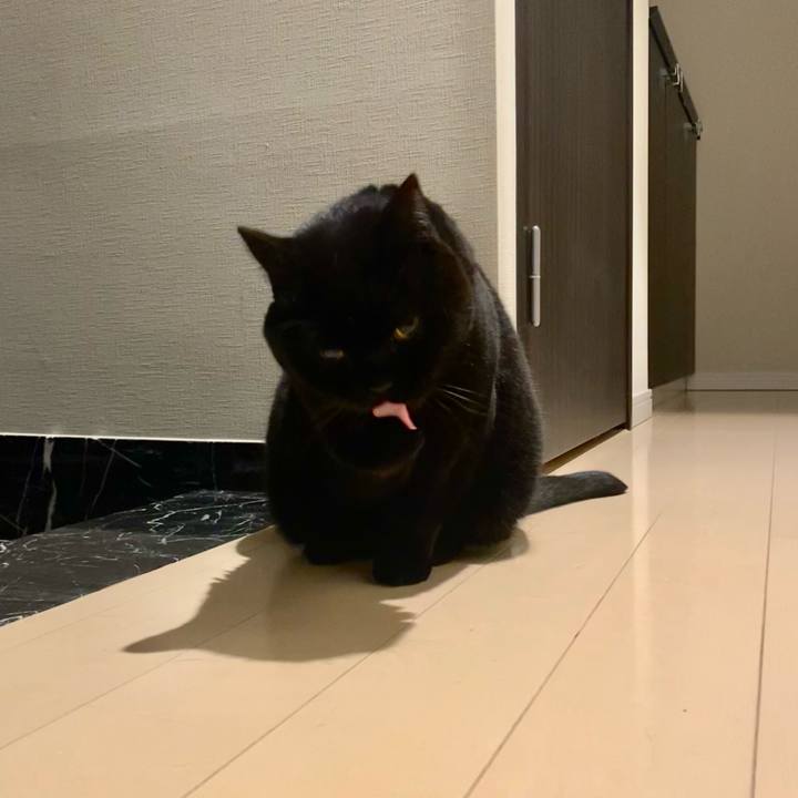 37df3a4f e8cc 4b01 9e0d efc86bd33c49 1772280792451