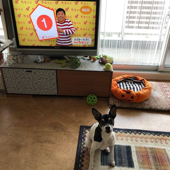 37df48b6 c69c 4619 92b6 d82a720bf6be 1553464852380