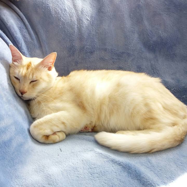 37df50f7 2bf6 47cc a50c eee4b0e4e00d 1539925567121