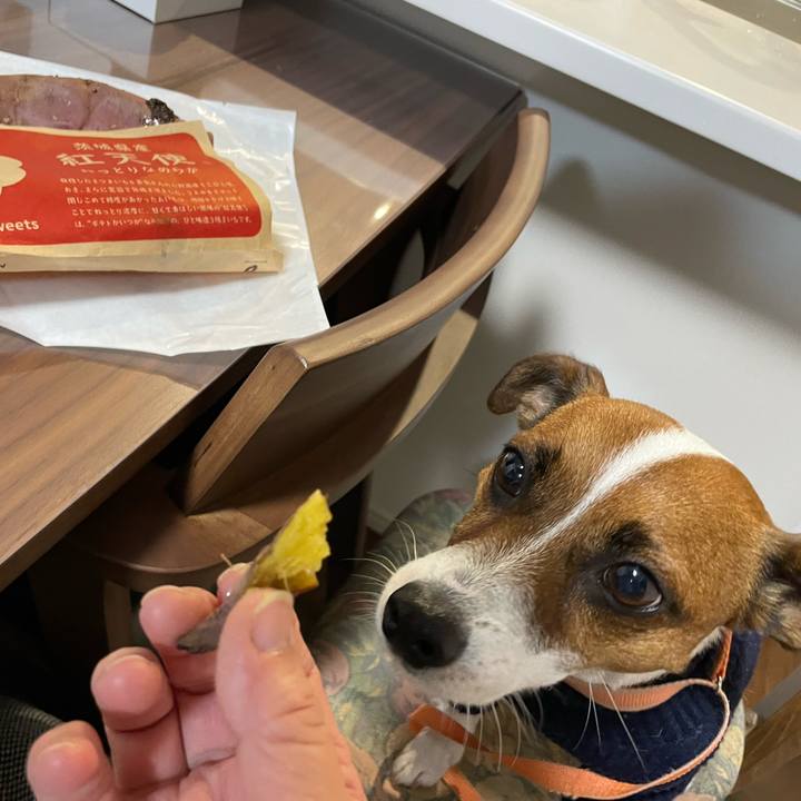 37df5358 2b44 4143 9f4c 3c9cfbd759a1 1641980377530