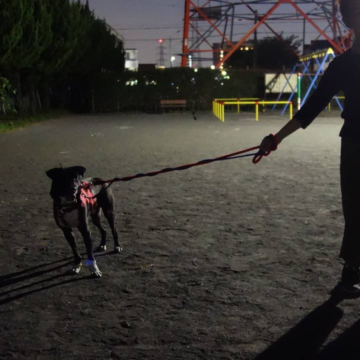 37dfb62c dc03 4a2c b1a0 a1f014065c4b 1601549648121