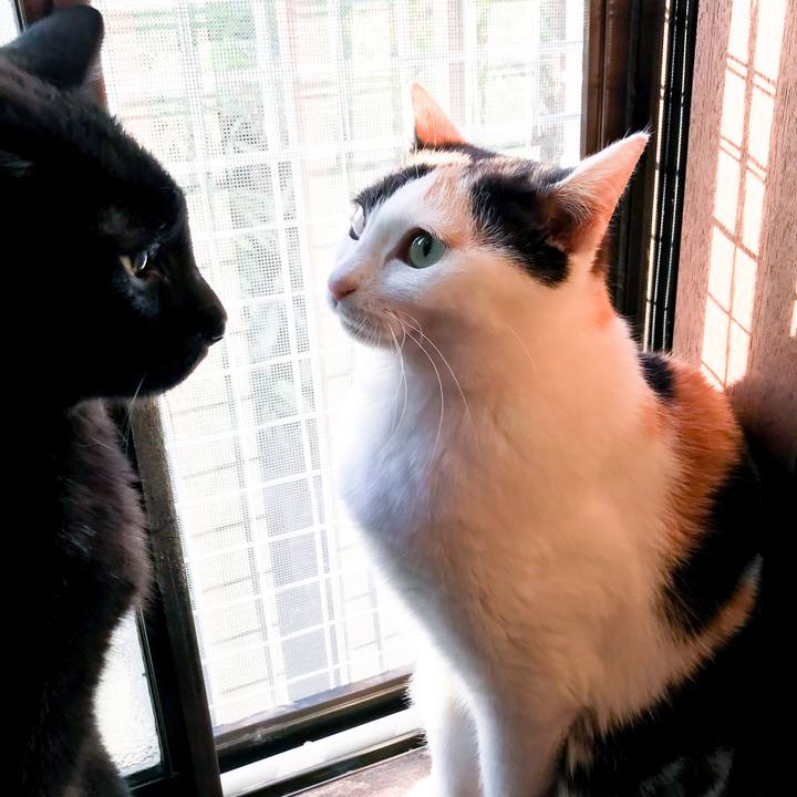 37dfd5a2 cfcf 44eb b361 a32f7cbab4b2 1526016221832