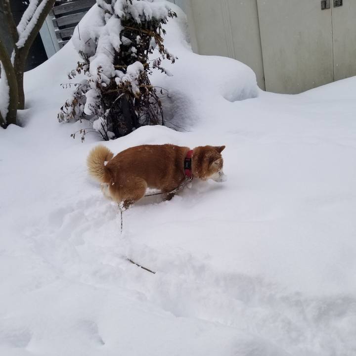 37dfde86 5d27 4ea1 8f79 04ed66a1db38 1738712427247