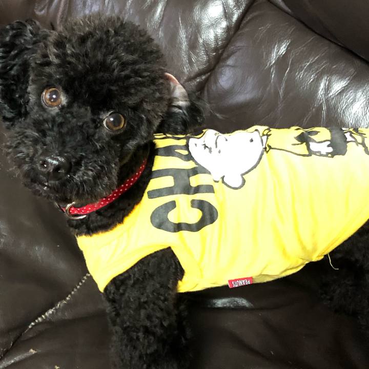 37e0224b 8e8a 4756 8123 54d127db58e1 1563167277464