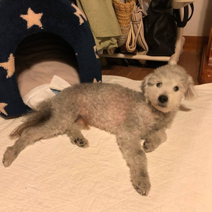 37e03b82 c0fc 49c8 88c0 150edfb39cb1 1593098088497