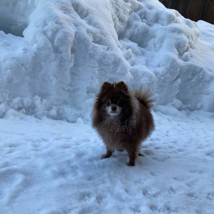 37e05f34 2d78 48b1 86c5 b8f7532194d2 1677141978641