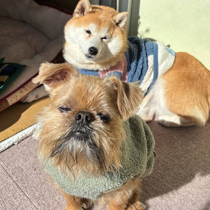 37e06868 0413 4ac5 8d03 389b84f7e68e 1739535027271