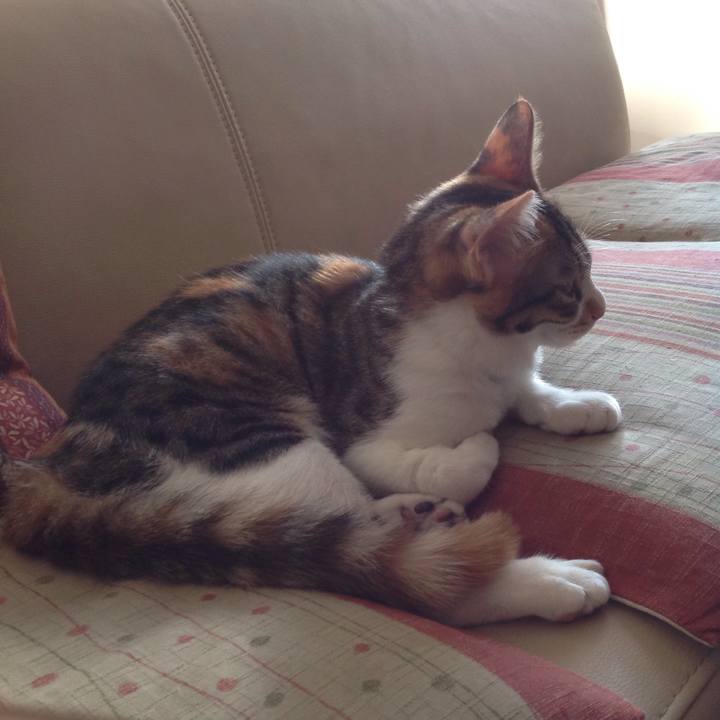 37e087ab 381d 4c1b bdd0 97a5f04e9d8c 1635920274749