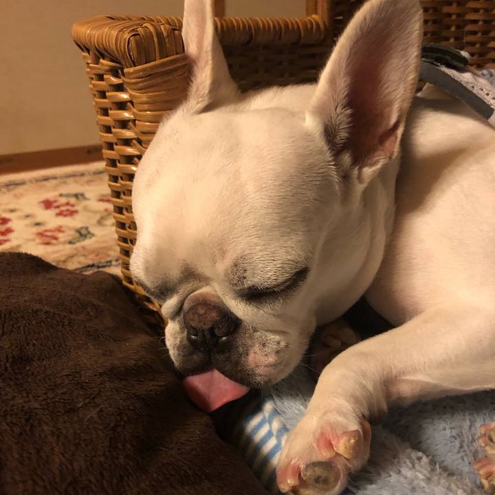 37e0a8b9 fd93 4666 bc36 da89175fdcae 1563023013194