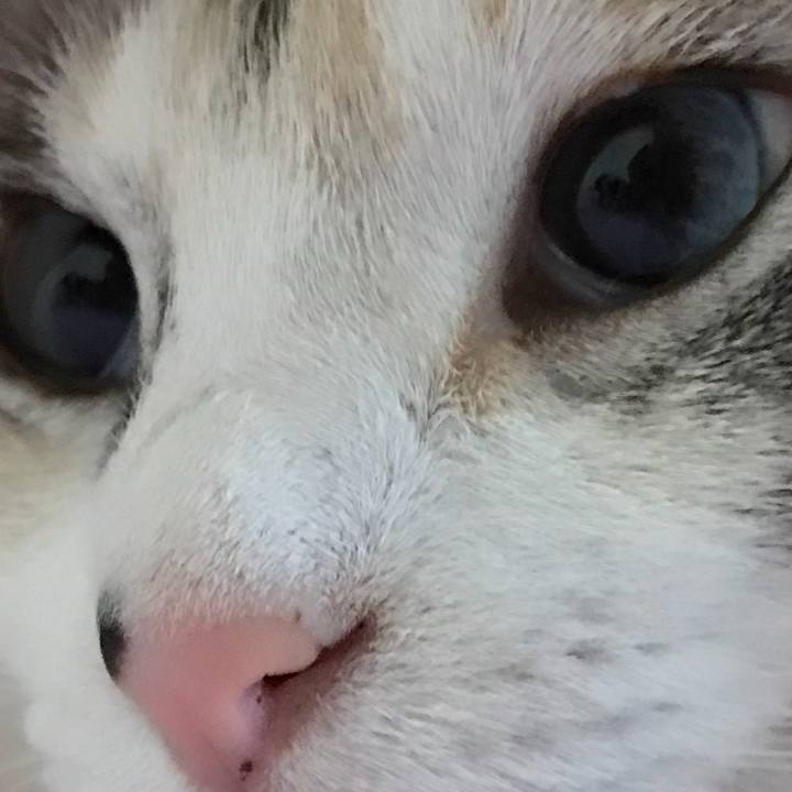 37e0c659 c4f6 4fdf 8819 d48947ab956d 1520653547256