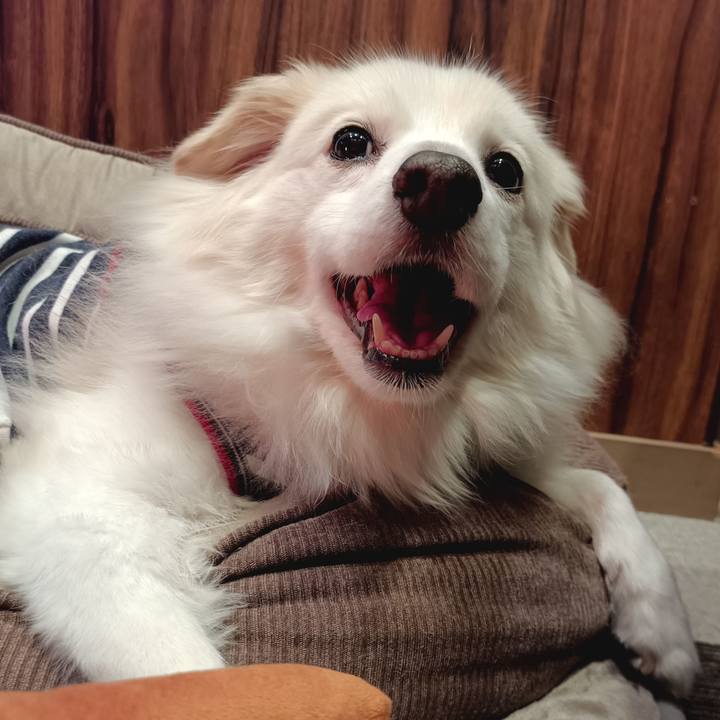 37e13bf4 7ab9 49ff 9c17 ab5980667c25 1707137922268