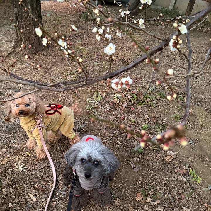 37e1487f 3e57 4bfd 9b55 4247e3d6dfb2 1770335951871