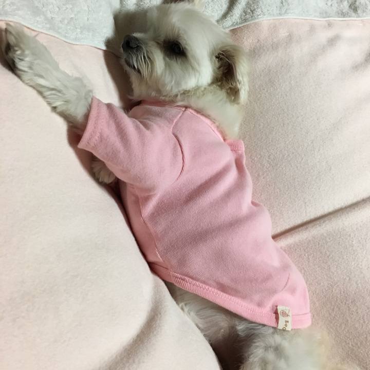 37e18c68 24ed 431f b1e0 4a5d4e1ece16 1514198603582