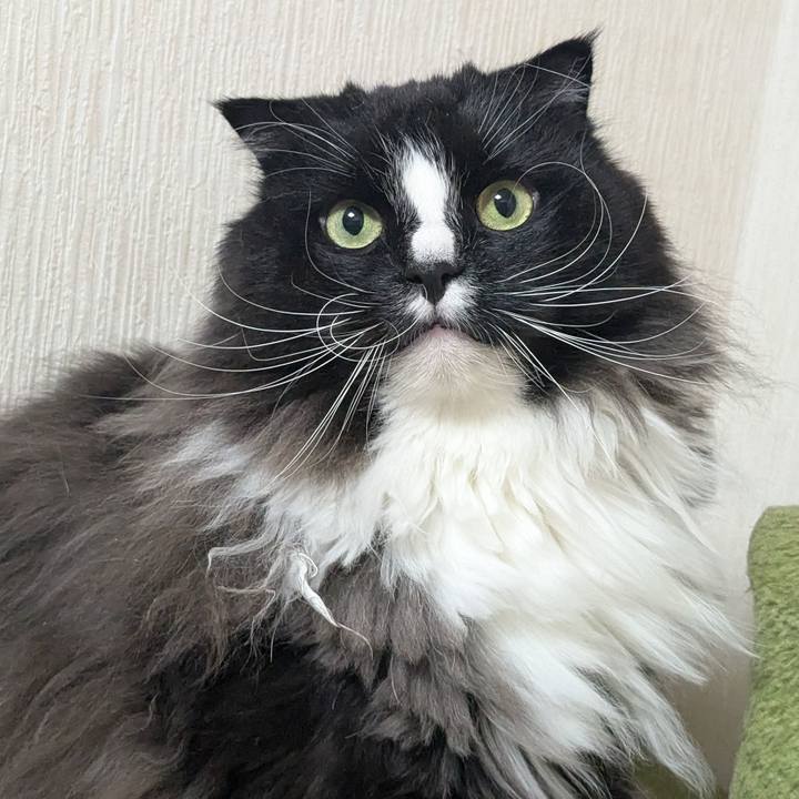 37e190b5 6afc 45a8 9efb e927b351ef85 1772546841215