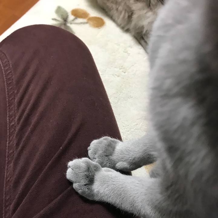 37e21243 16f5 43dc a500 935c2523cc84 1513116362637