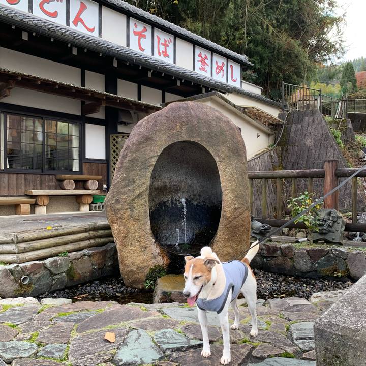 37e26b9a f1e4 417a a1cc 4a8ee63c81b1 1575107613199