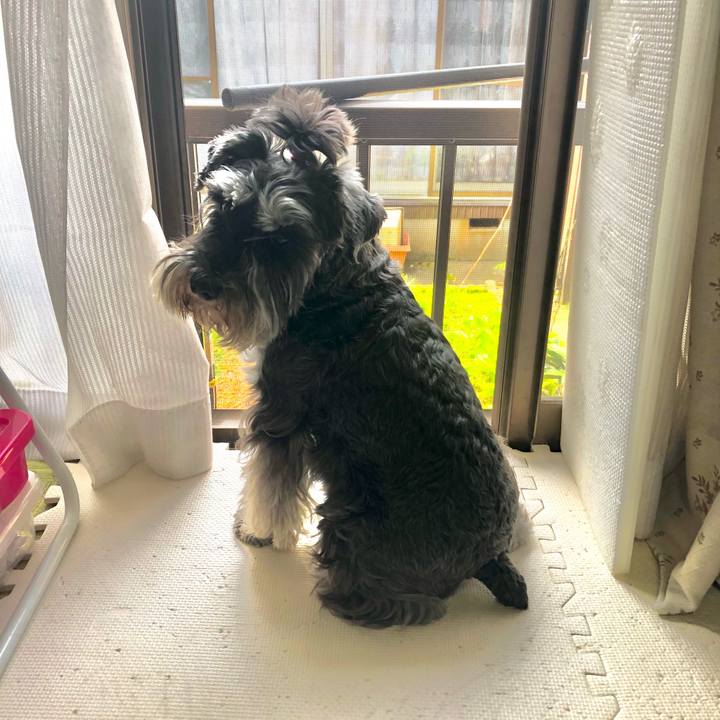 37e28d02 71b9 4cd5 9a51 16594c1e79e7 1619278786167