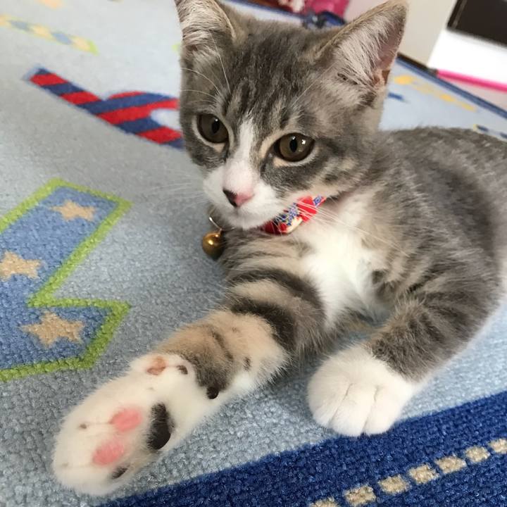 37e28f9c 0e50 4452 8e4e 39d619c2c69b 1532310134431