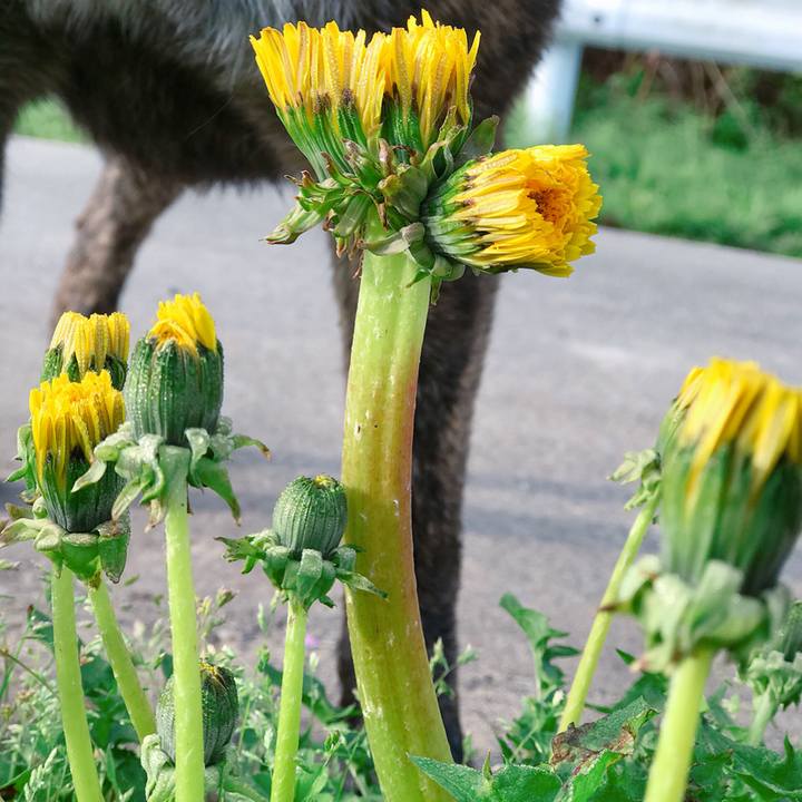 37e29310 b80b 48dd 96bf 503af581548f 1524779981610