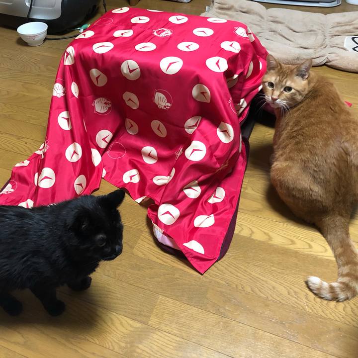 37e2aa04 70d6 4257 aa02 3f21087a58a8 1617185468677