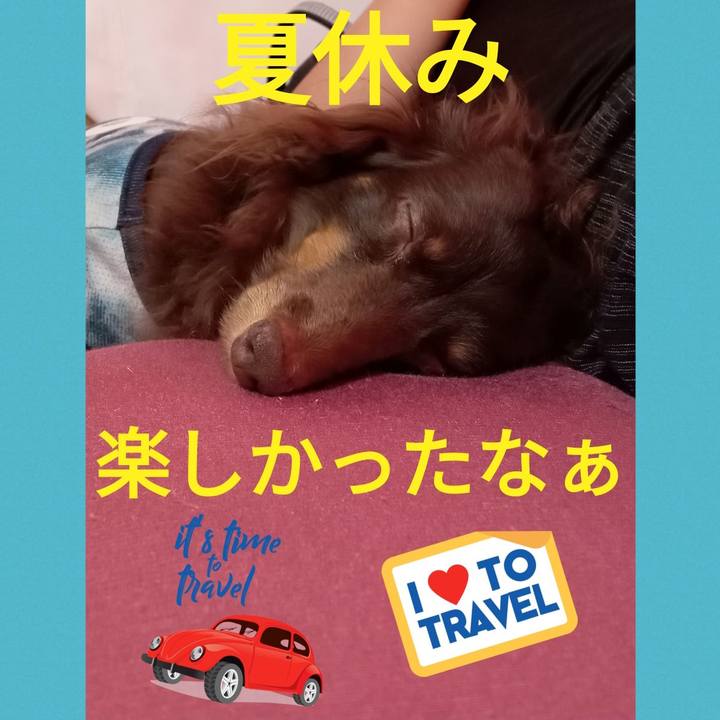 37e2ac36 d48d 4a0e 9cab ac09d6848566 1755309508997