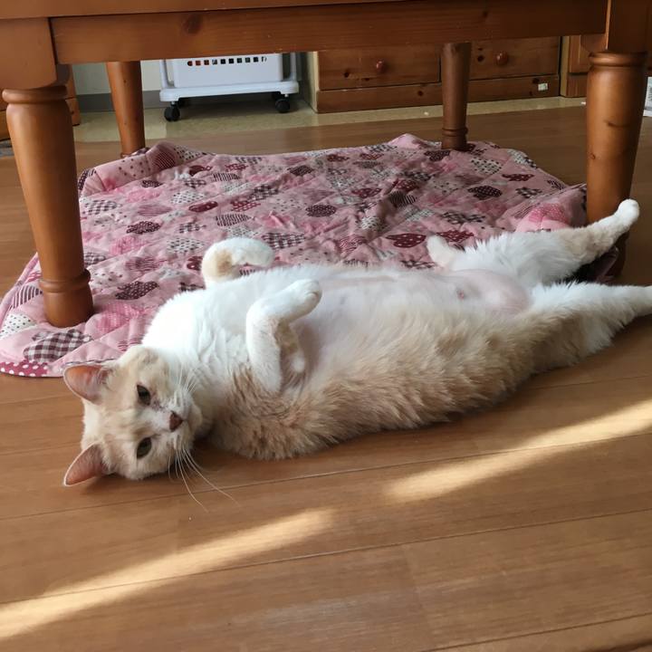 37e2aee6 2fee 4497 9e02 05d2645dc5c2 1514561358077