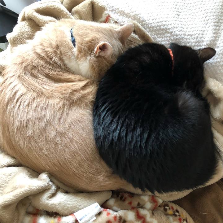 37e2ece2 da83 4b2f be2a f00aa8f34e3a 1555139644508