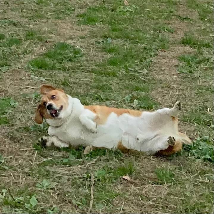 37e31113 68de 4a4c 99ec 8ff3c7d3c9dc 1668649830437