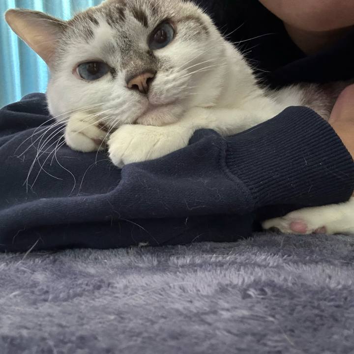 37e312d3 f4e9 4fe5 b740 e551db95c609 1732934147838