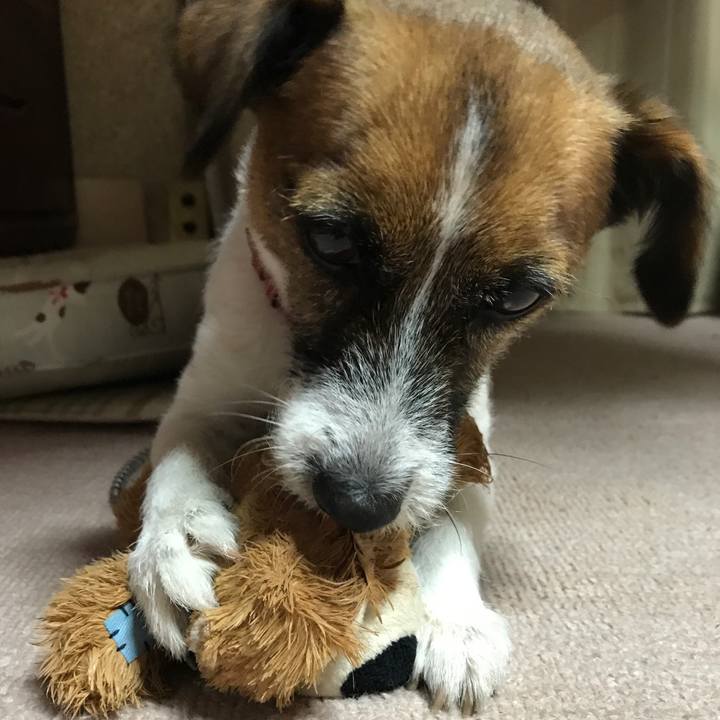 37e36895 a182 45db b562 8940318fce7e 1512124439580