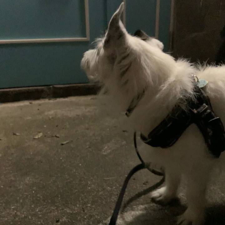 37e3765c 438c 46ed 829f 32d6881c4dee 1750289534175