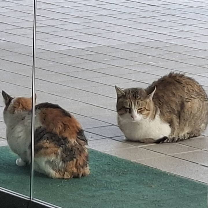 37e37b75 aa11 4323 b57d 1edb15159a51 1738915026837