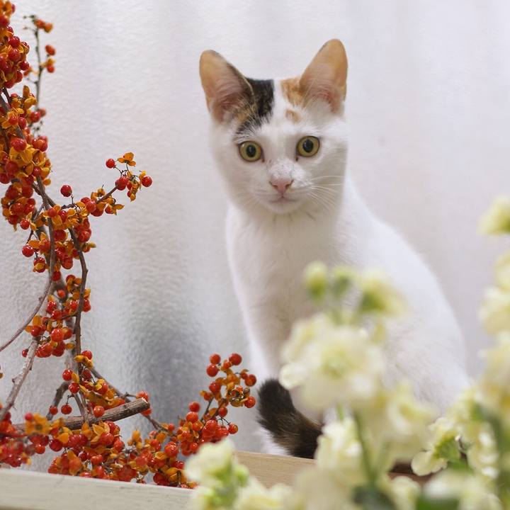 37e3b660 a898 43aa 999b 97294c608a1a 1543535365959