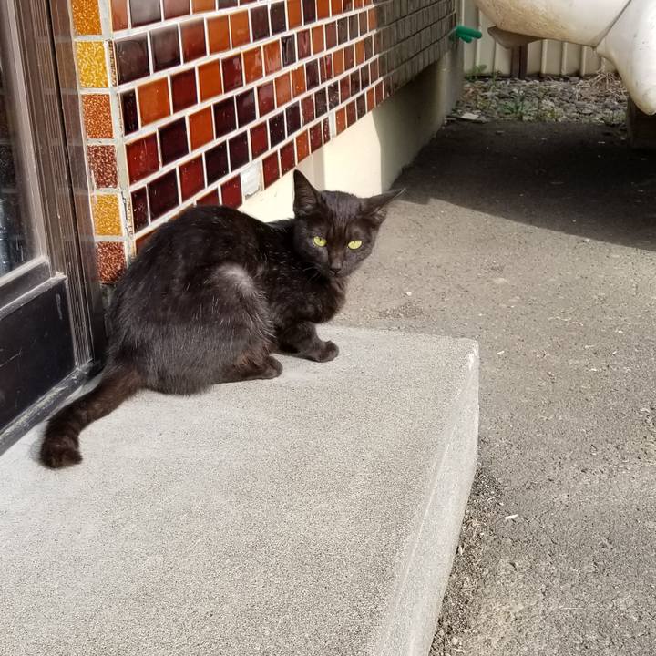 37e3d87b af02 46c8 85f9 025c45aca55b 1570631739081