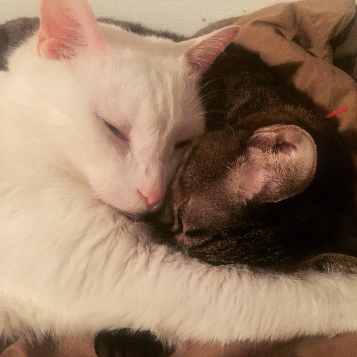 37e43011 6dcb 4c4e 8101 13d52c92e06e 1545903283581