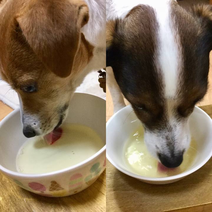 37e43ddc fb1d 4825 87ea 7c34daab1a7a 1548415630138