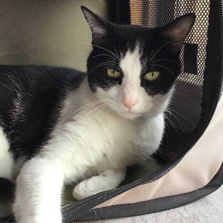 37e46b7d 29de 4d61 858f 7dfe4ef81fc1 1759312247235