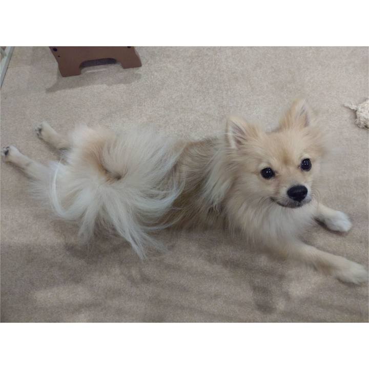 37e4938a 9284 44b5 955f 0100b84e5f95 1754954064058