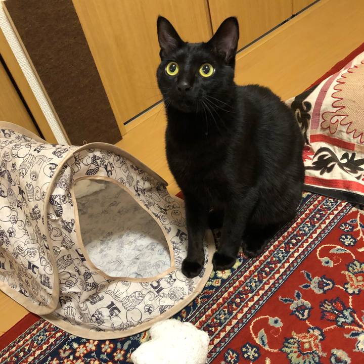 37e4a146 8a0d 4f83 9eba c7f7c42e645e 1521111229899