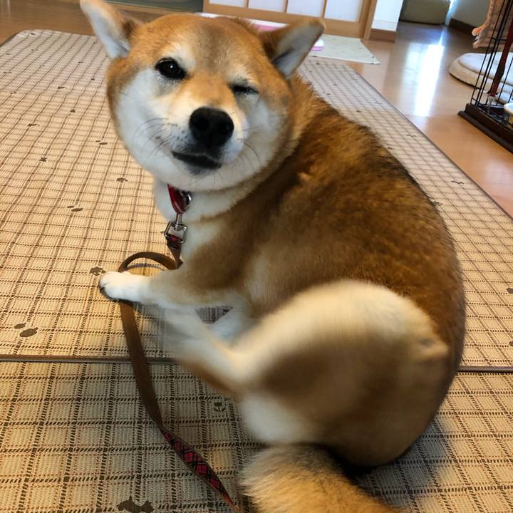 37e4a9ca 6f5a 4288 86d1 339abef12561 1588140178213