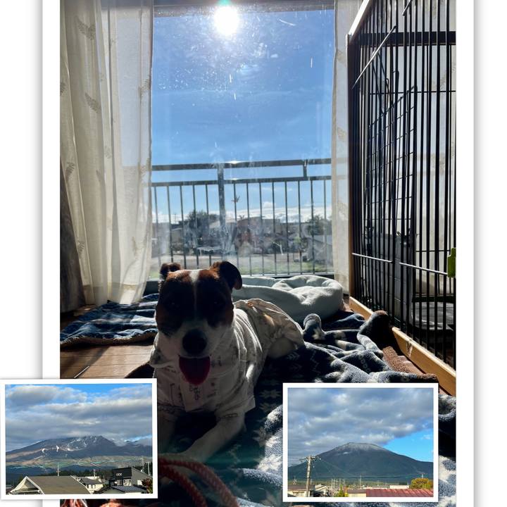 37e4be7b 5a6e 4ab5 bda5 dab7293d0e84 1634859578955