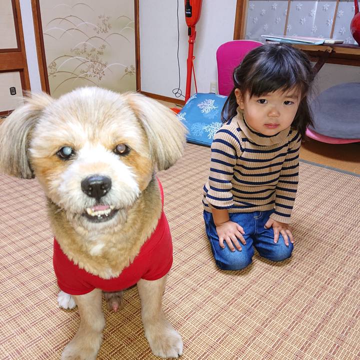 37e4c500 d11f 4d2f b21b af5b86fd3113 1604840825973