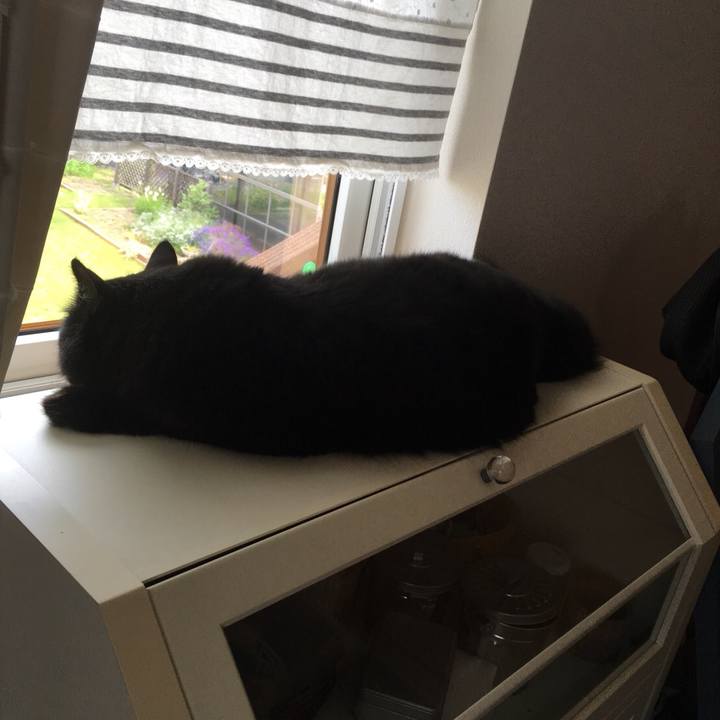 37e4c85f dc51 4267 9c6a 46fed45ec646 1532143552404