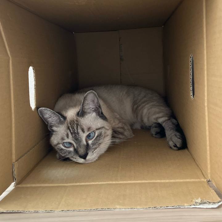 37e4d232 93a3 4718 9063 9db42e86aec9 1597463301376