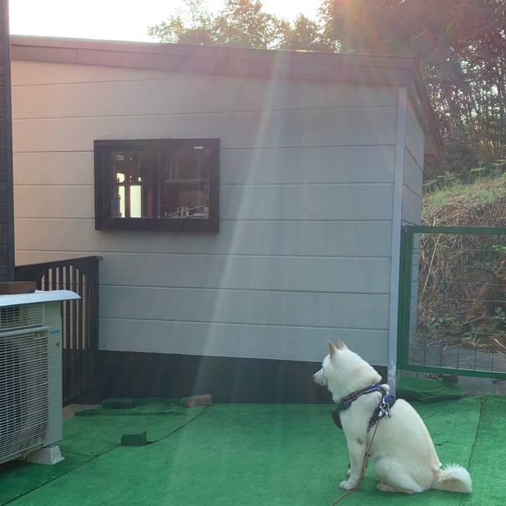 37e4ddc0 86b6 487f 8ba2 040661bb8f28 1627249522672