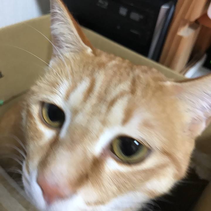 37e4ecde c1d5 4686 8827 97677bfb3b56 1519217389438